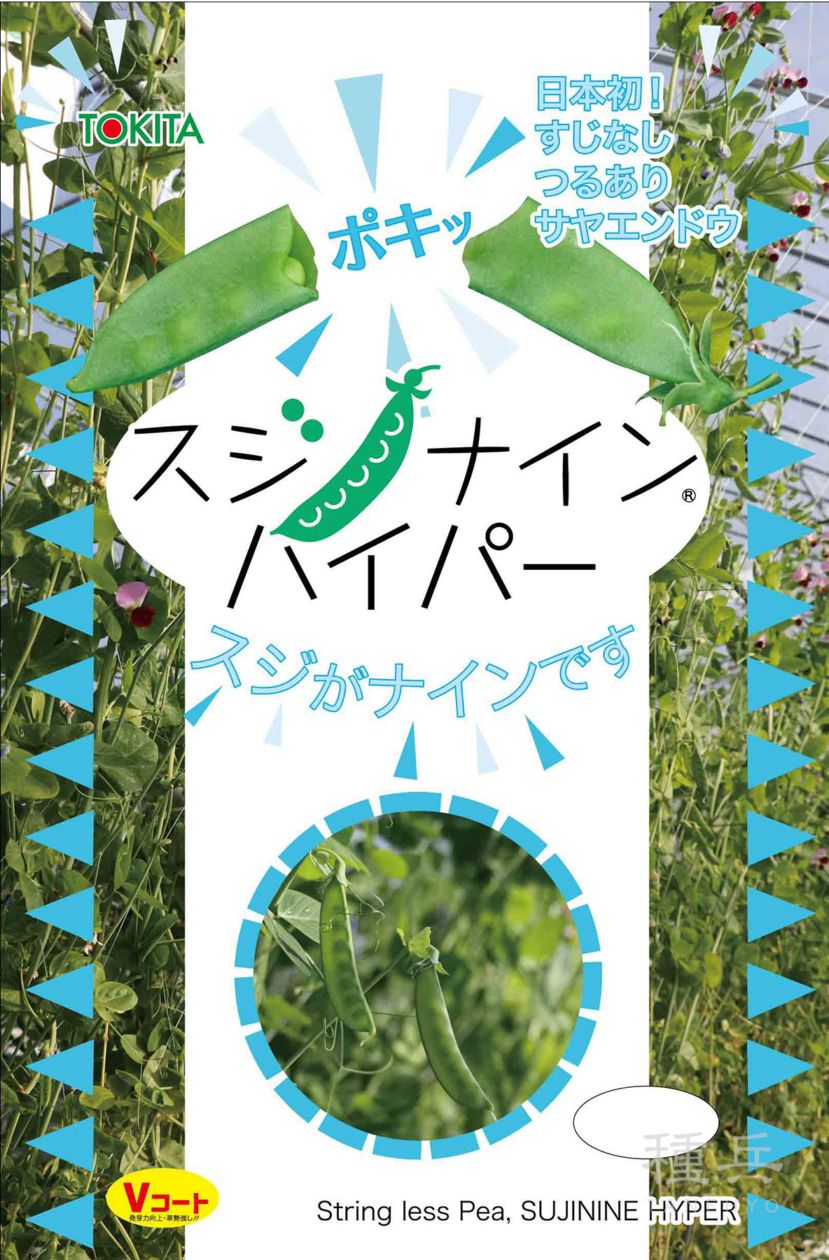 絹さやエンドウ 種 『スジナインハイパー』  トキタ種苗