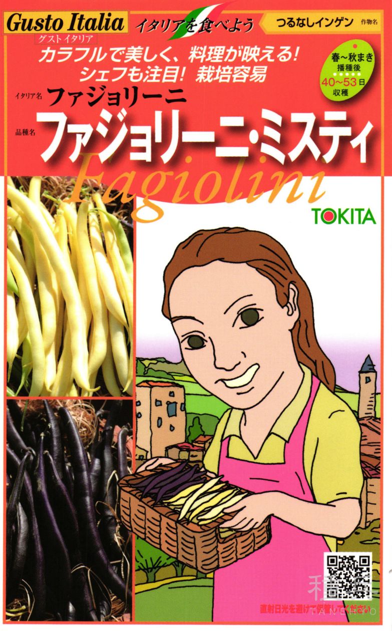 サヤインゲン 種 『ファジョリーニ・ミスティ』  トキタ種苗