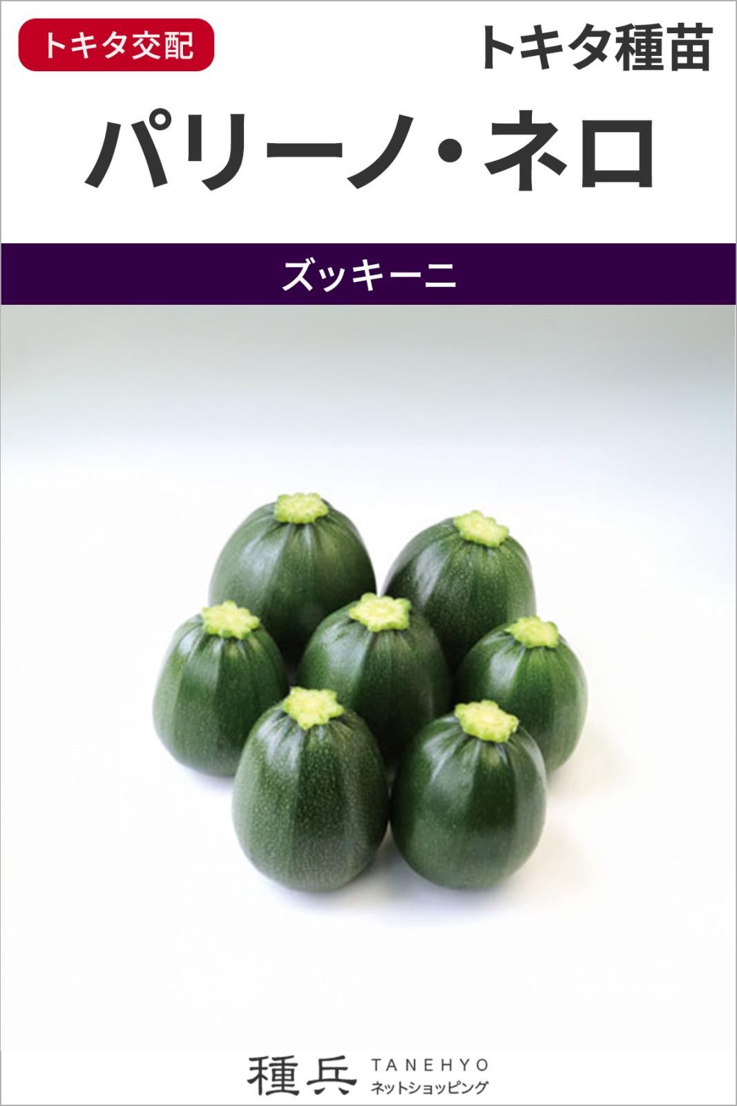 ズッキーニ 種 『パリーノ・ネロ』  トキタ種苗