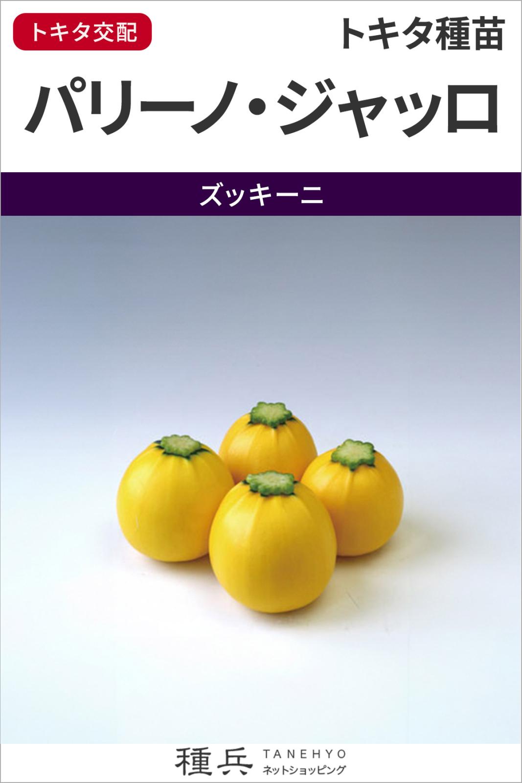 ズッキーニ 種 『パリーノ・ジャッロ』  トキタ種苗