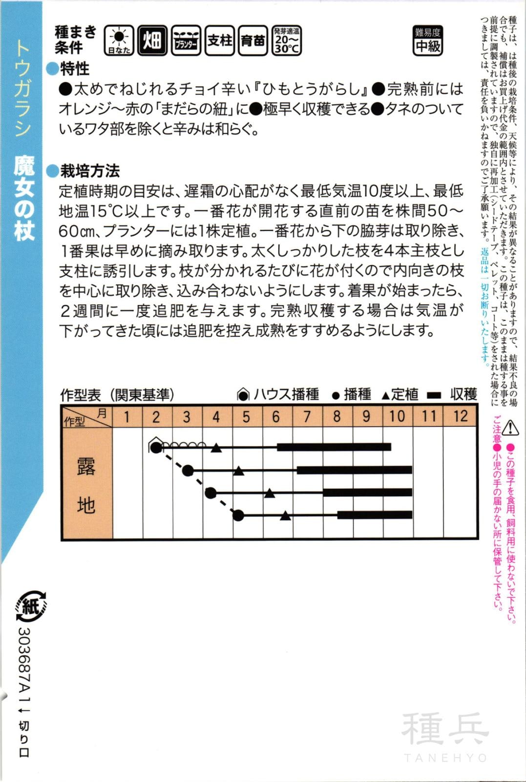 辛トウガラシ 種 『魔女の杖』 トキタ種苗 | たね,果菜の種,ピーマン