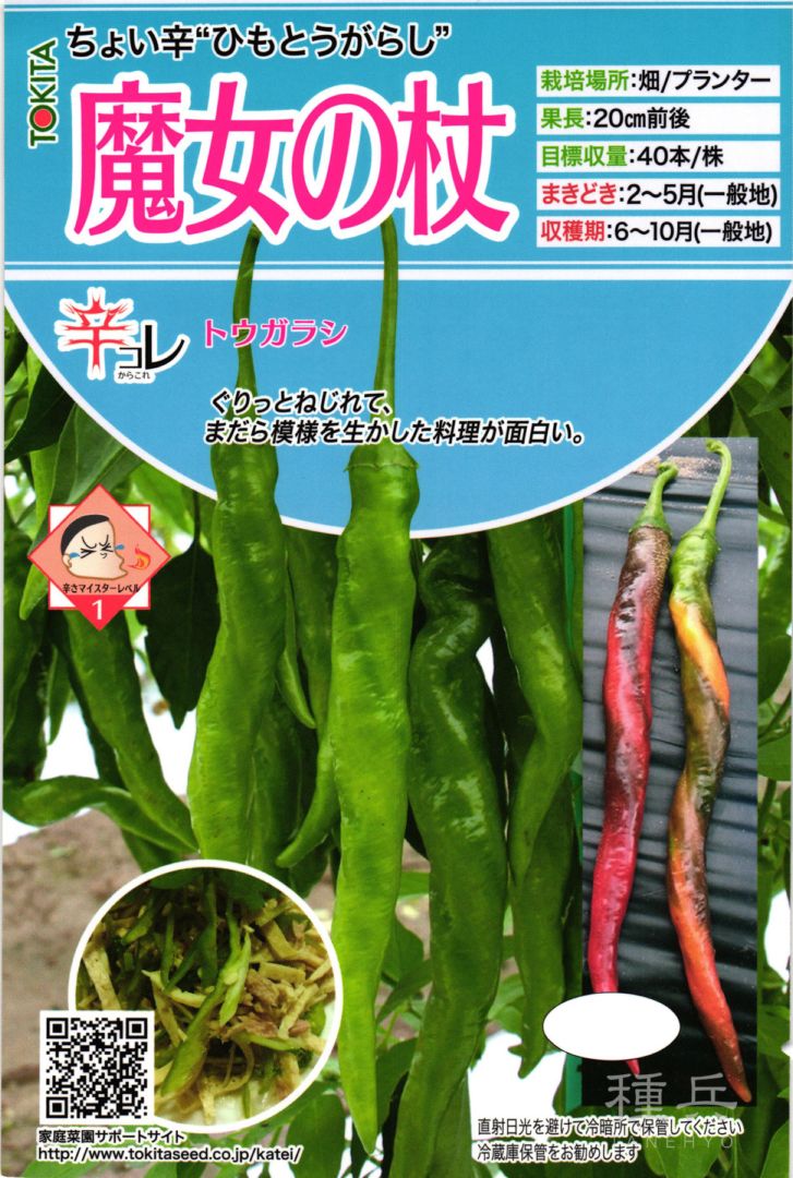 辛トウガラシ 種 『魔女の杖』 トキタ種苗 | たね,果菜の種,ピーマン