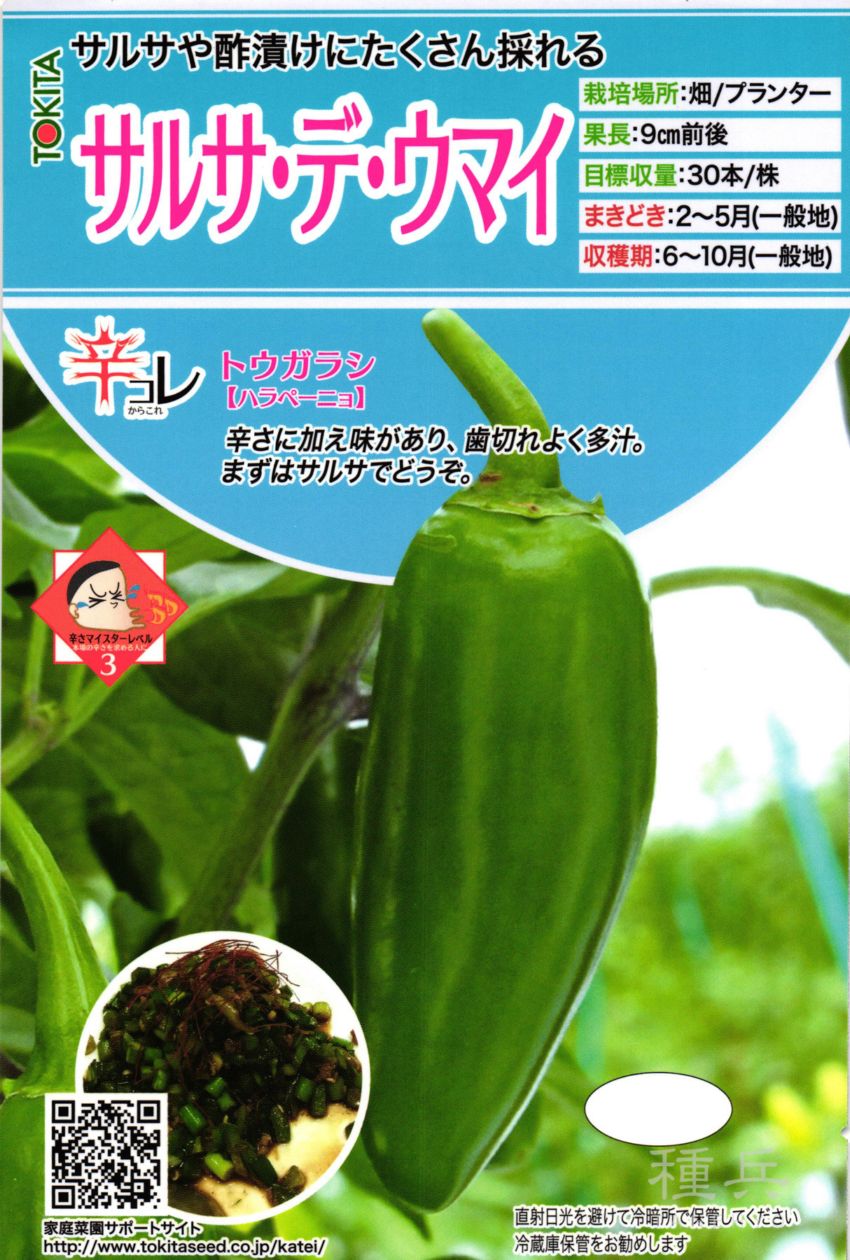 辛トウガラシ 種 『サルサ・デ・ウマイ』 トキタ種苗 | たね,果菜の種