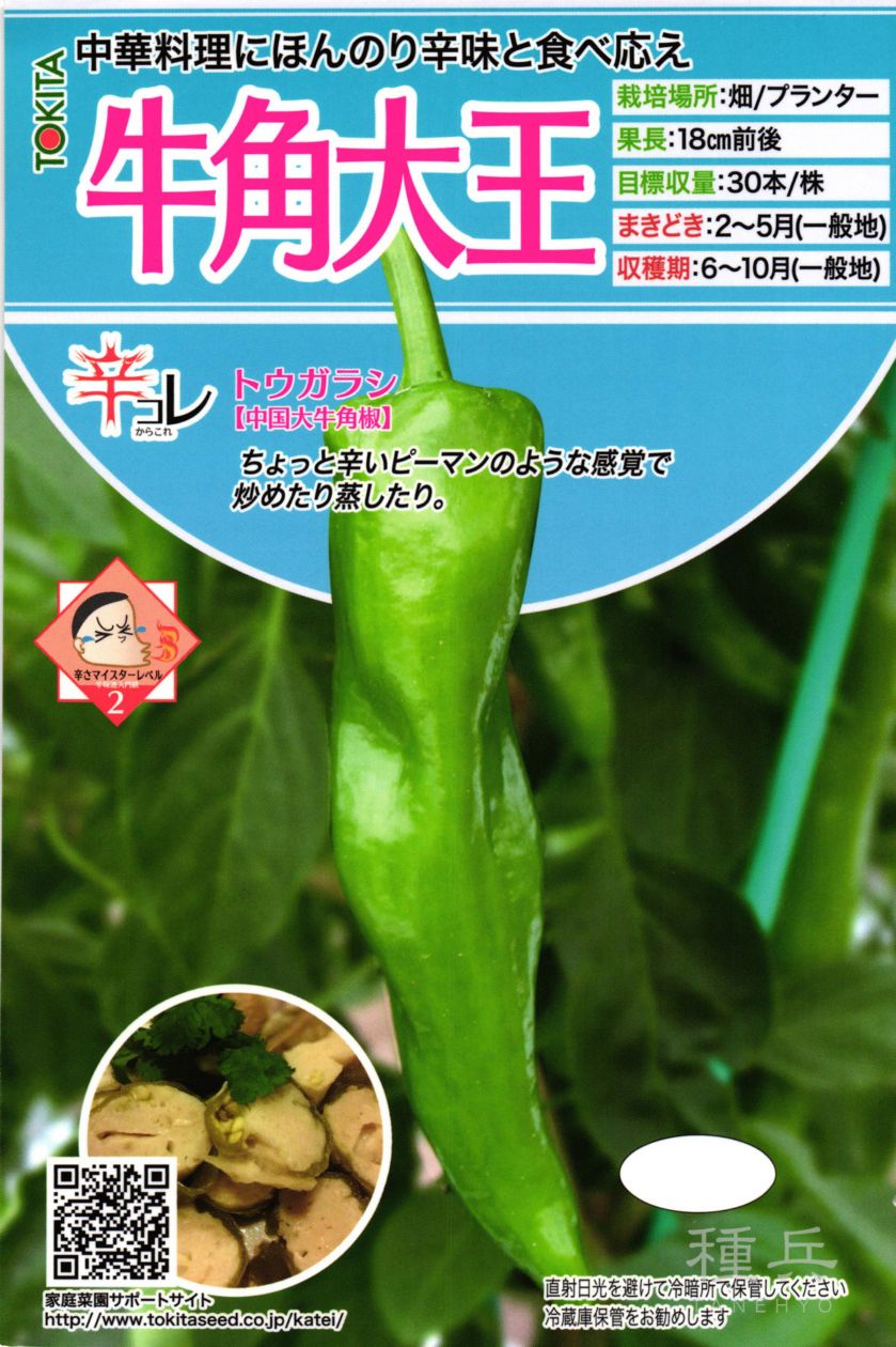 辛トウガラシ 種 『牛角大王』 トキタ種苗 | たね,果菜の種,ピーマン