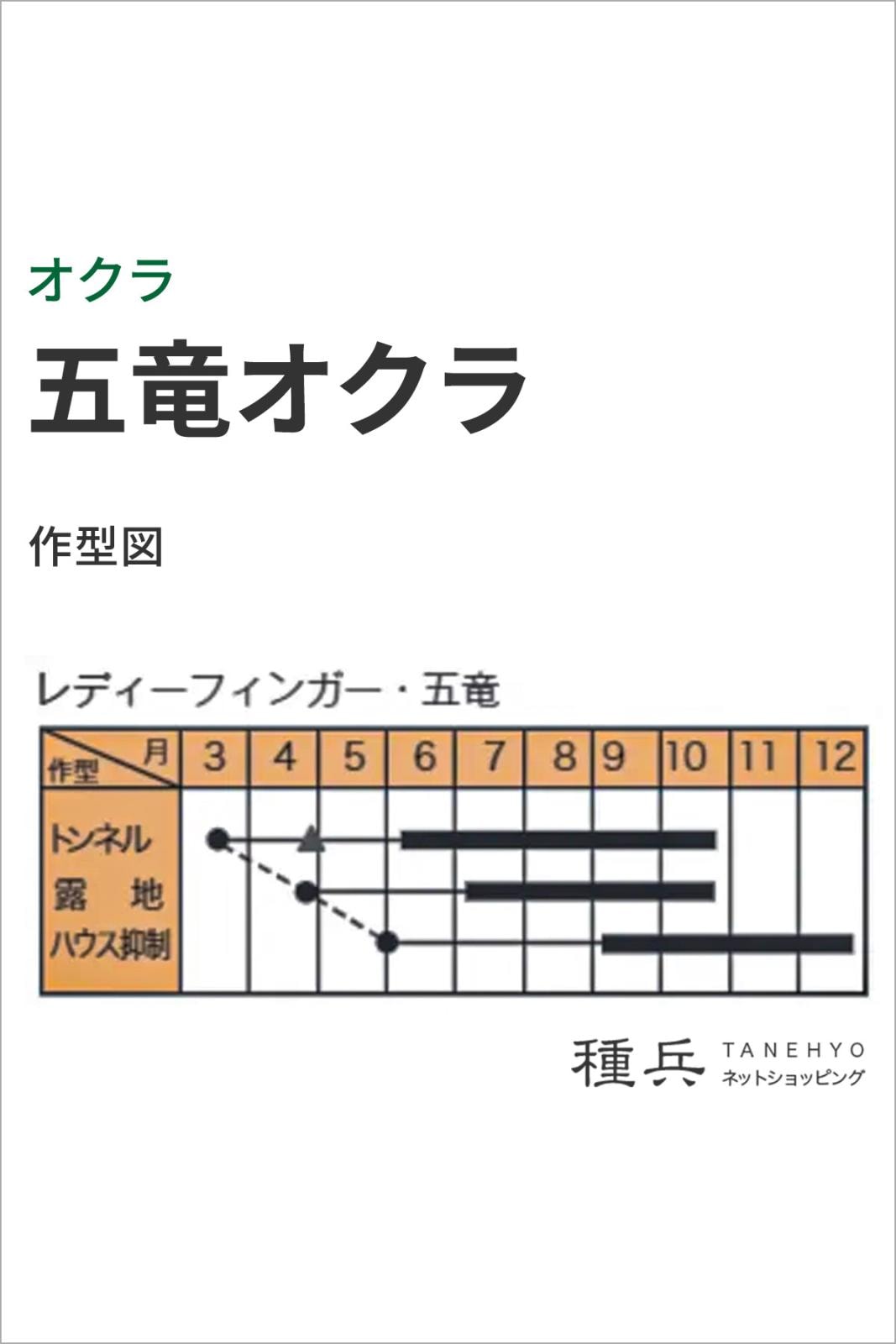 オクラ 種 『五竜オクラ』 トキタ種苗 | たね,果菜の種,オクラ | 種兵