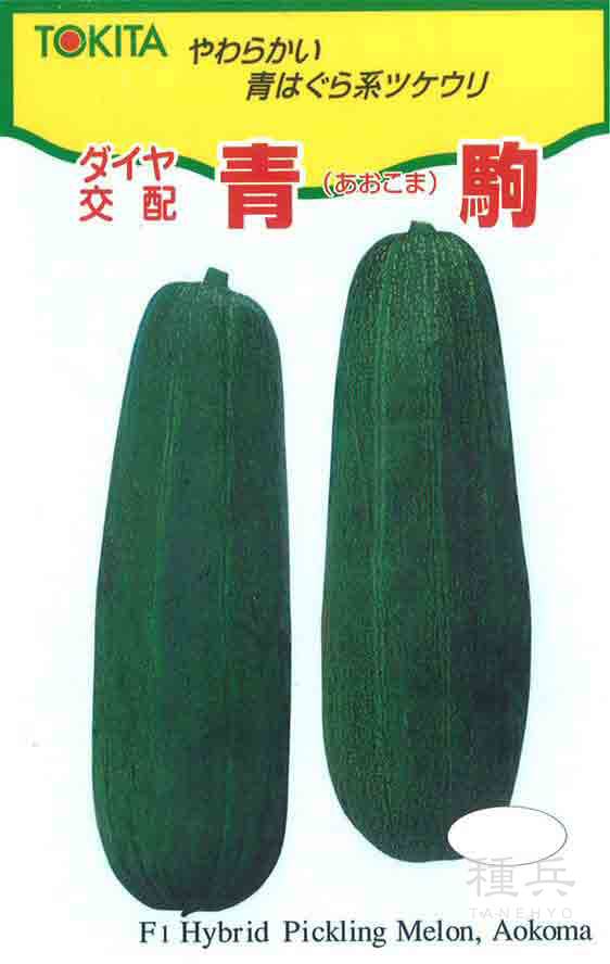 ツケウリ 種 『青駒』  トキタ種苗