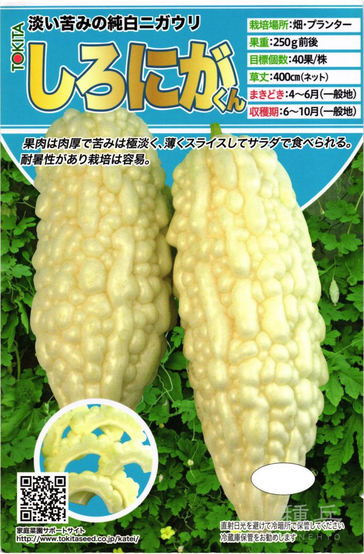 白ゴーヤ 種 『しろにがくん』  トキタ種苗