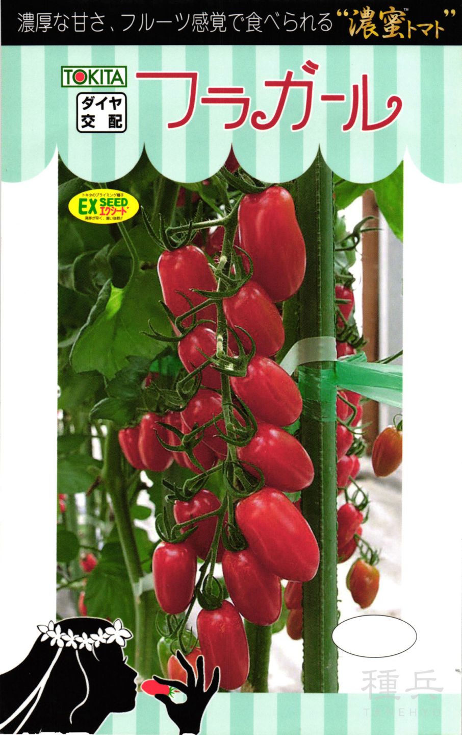 ミニトマト 種 『フラガール』 トキタ種苗 | たね,果菜の種,トマト