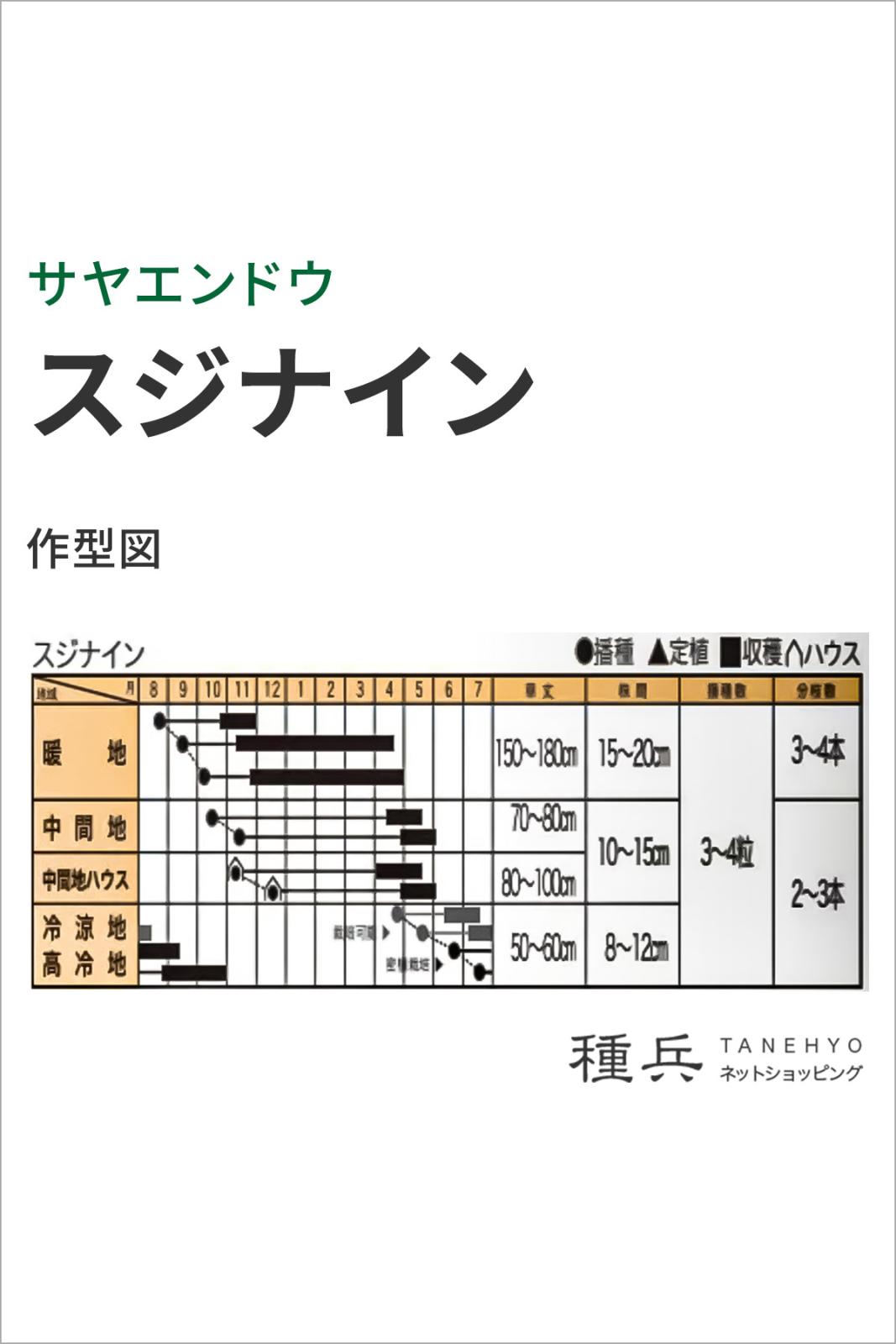絹さやエンドウ 種 『スジナイン』 トキタ種苗 | たね,果菜の種