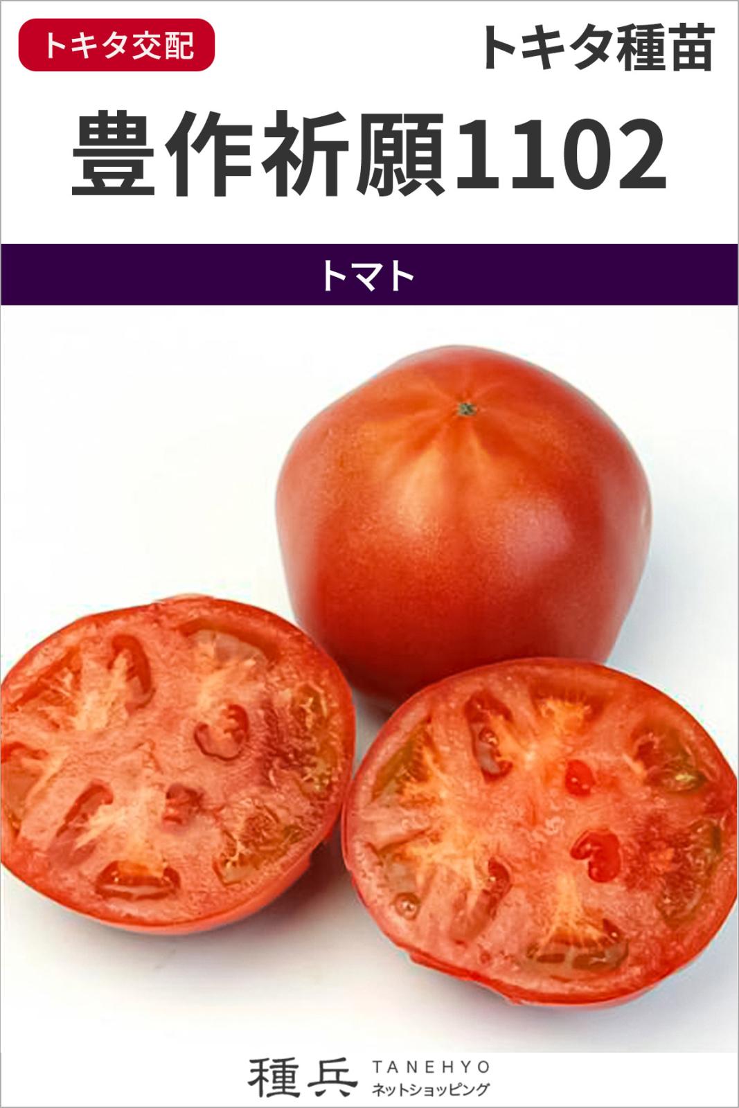 大玉トマト 種 『豊作祈願1102』 トキタ種苗 | たね,果菜の種,トマト