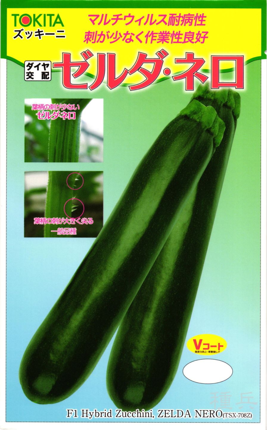ズッキーニ 種 『ゼルダ・ネロ』  トキタ種苗