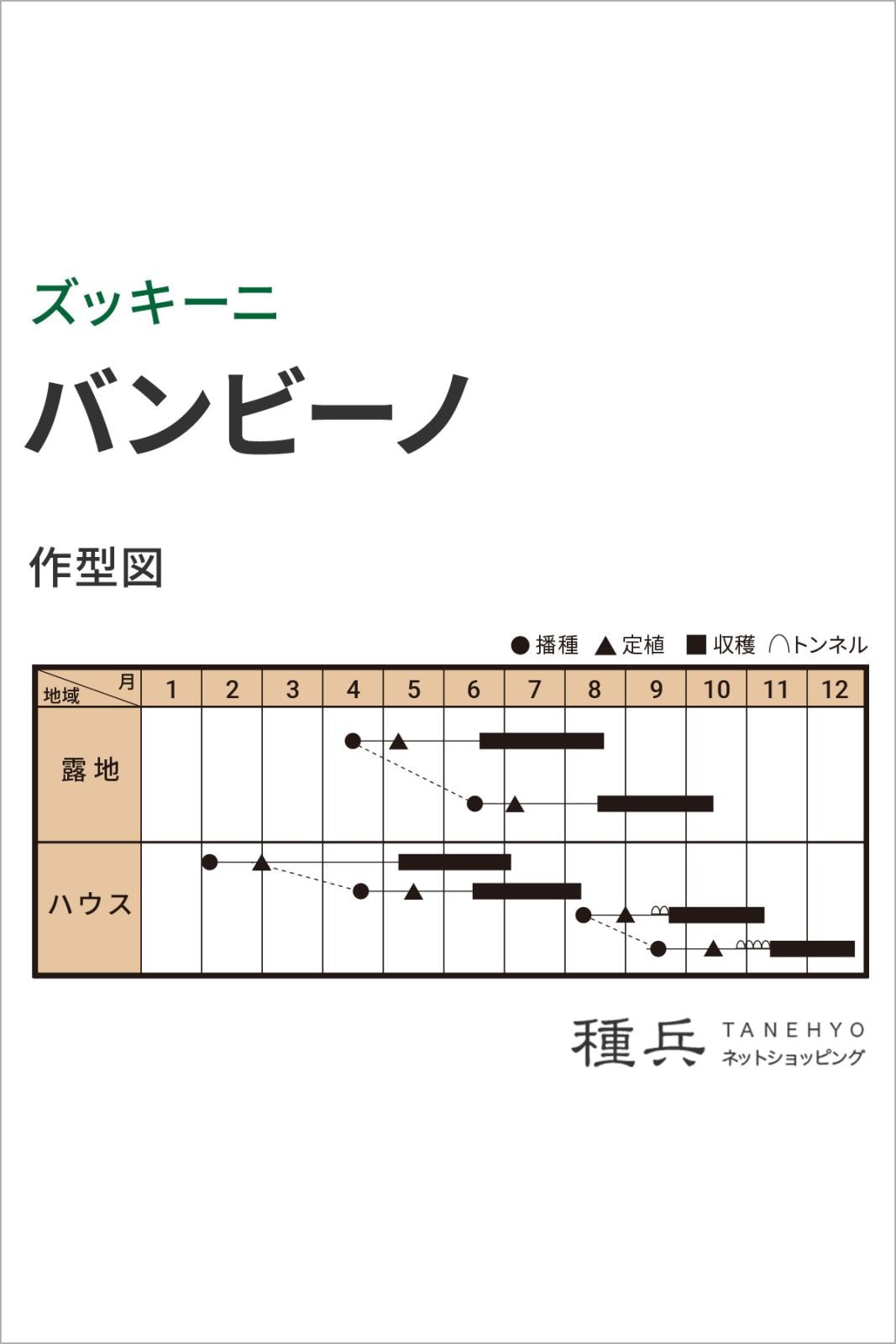 ミニズッキーニ 種 『バンビーノ』 トキタ種苗 | たね,果菜の種