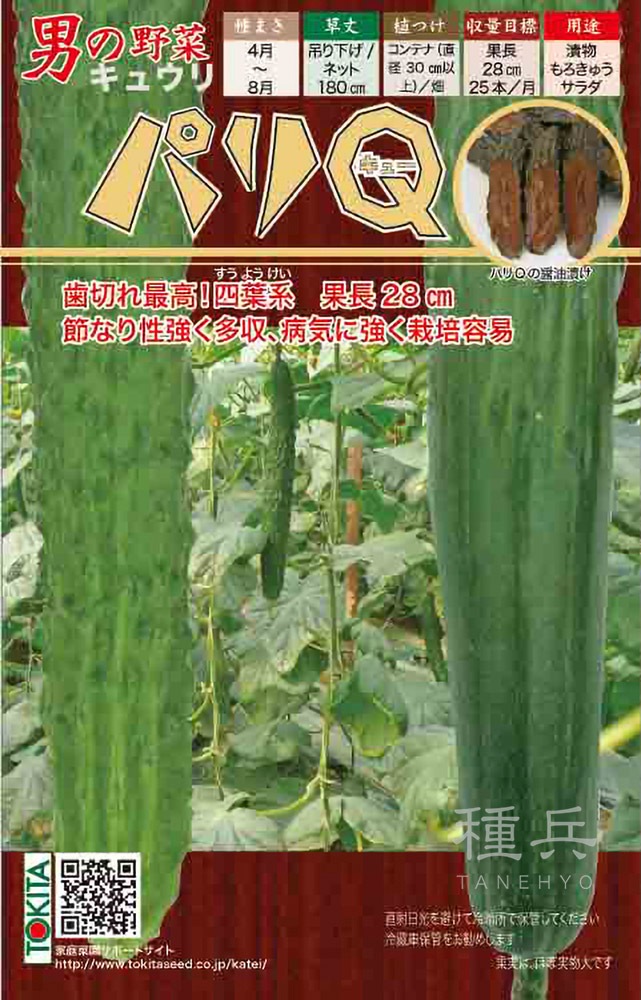 四葉キュウリ 種 『パリQ』  トキタ種苗