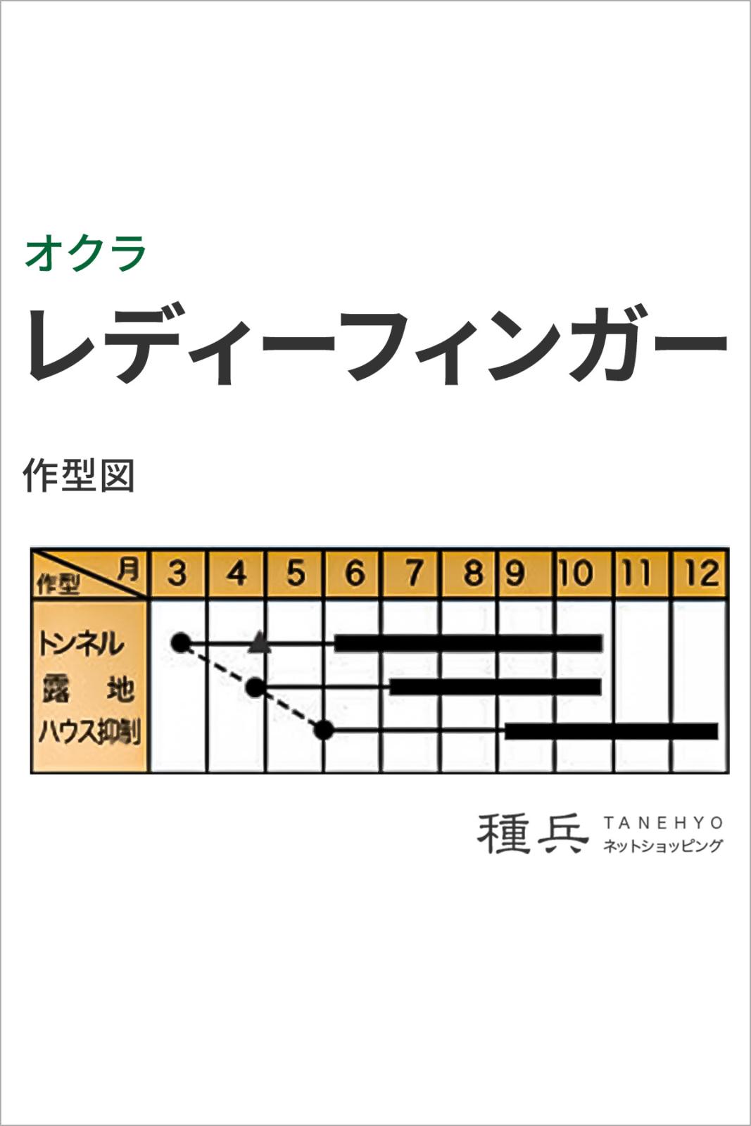 丸オクラ 種 『レディーフィンガー』 トキタ種苗 | たね,果菜の種