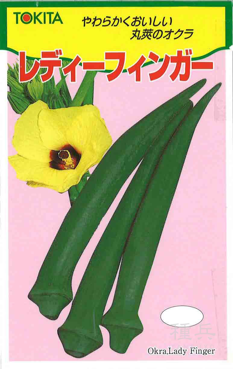 丸オクラ 種 『レディーフィンガー』  トキタ種苗