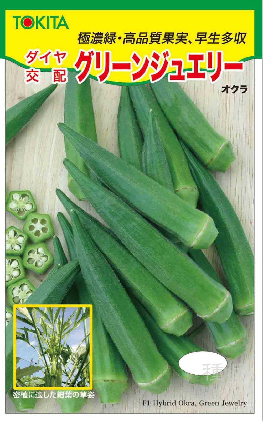 オクラ 種 『グリーンジュエリー』  トキタ種苗