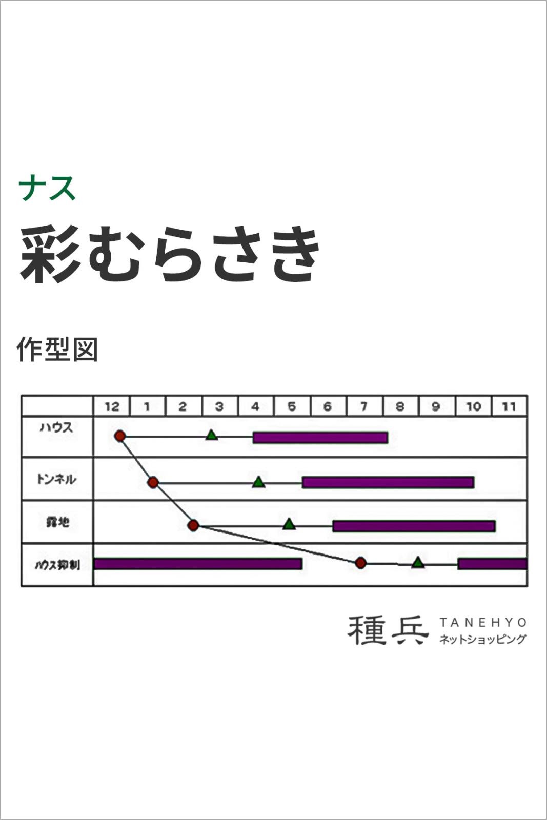 中長ナス 種 『彩むらさき』 トキタ種苗 | たね,果菜の種,ナス,中長
