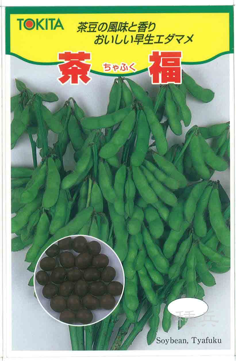 茶豆風味エダマメ 種 『茶福』  トキタ種苗