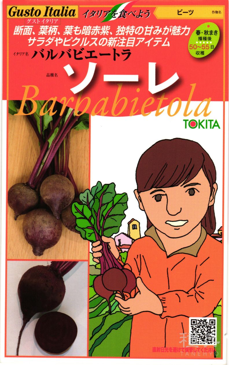 ビーツ 種 『ソーレ』  トキタ種苗