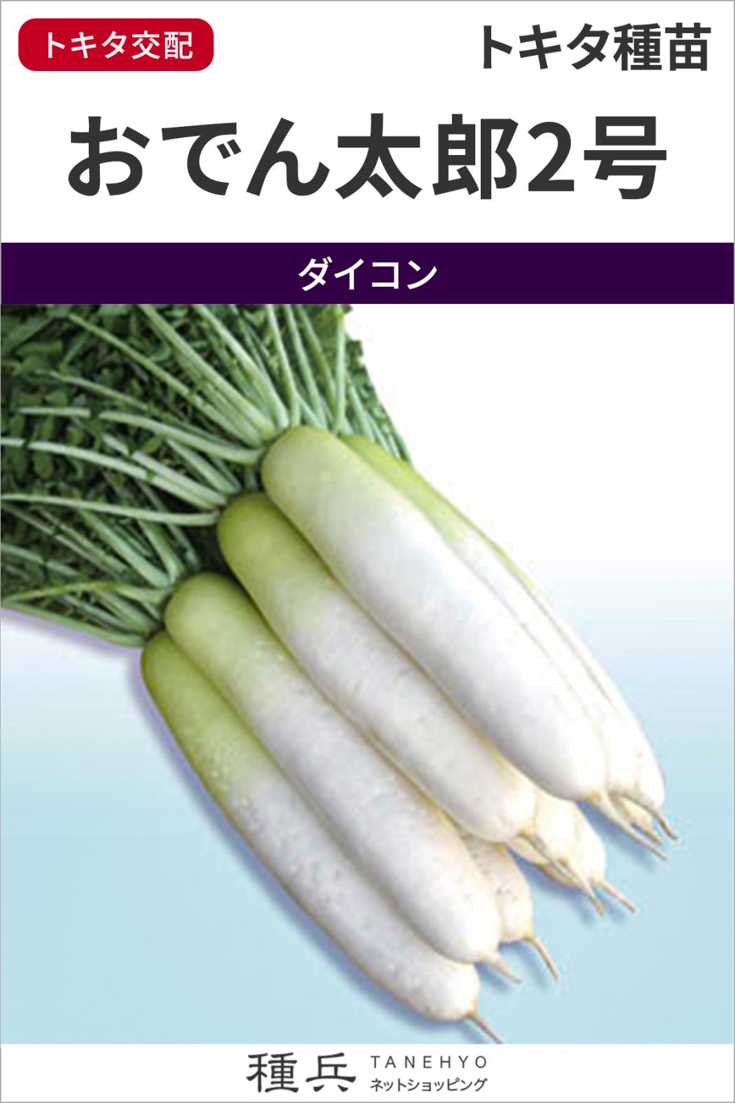 ダイコン 種 『おでん太郎2号』 トキタ種苗 | たね,根菜の種,ダイコン
