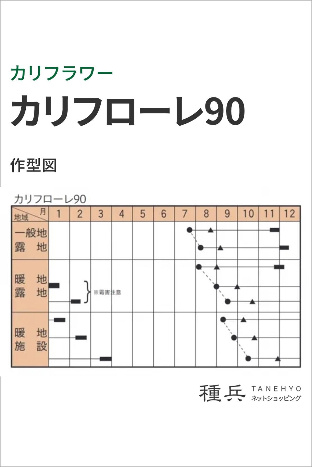 カリフラワー 種 『カリフローレ90』 トキタ種苗 | たね,葉菜の種
