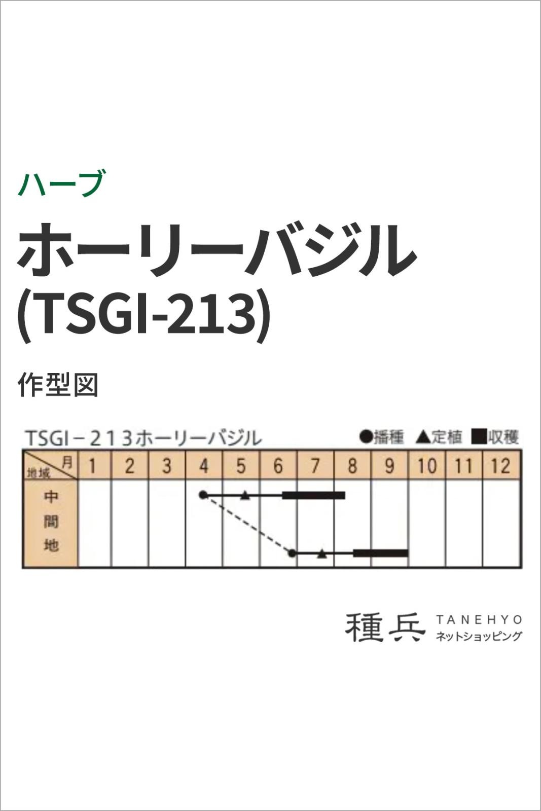 ハーブ 種 『ホーリーバジル(TSGI-213)』 トキタ種苗 | たね,葉菜の種