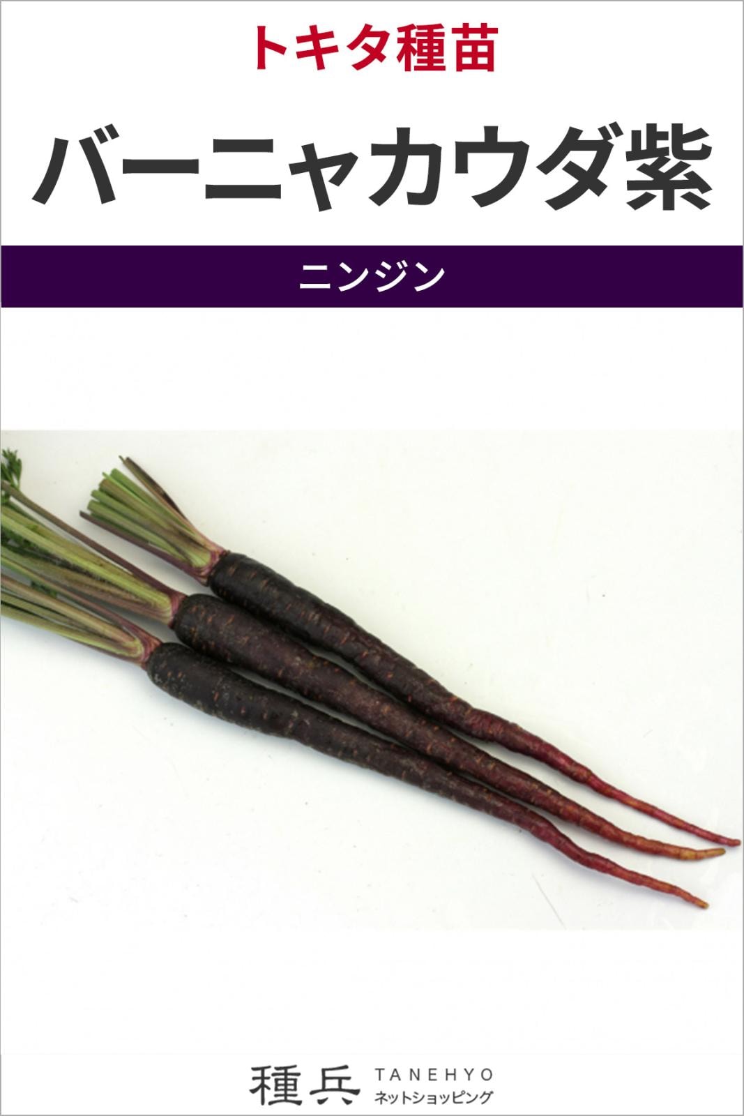 ニンジン 種 『バーニャカウダ紫』  トキタ種苗