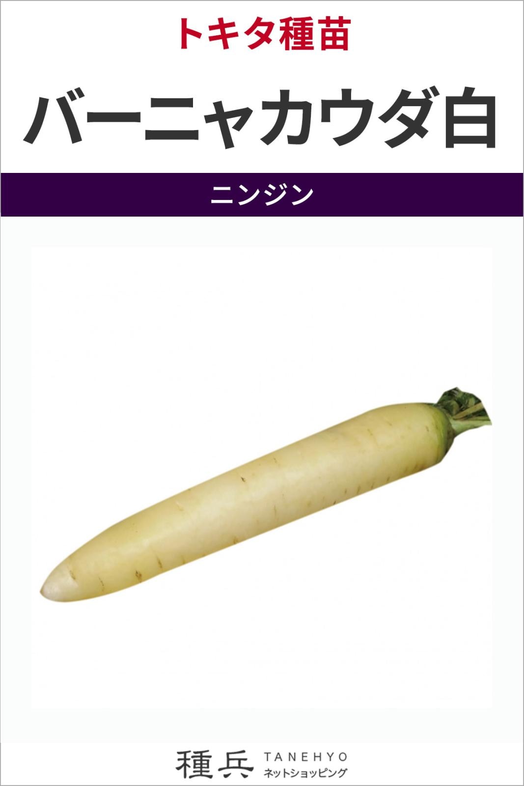 ニンジン 種 『バーニャカウダ白』  トキタ種苗