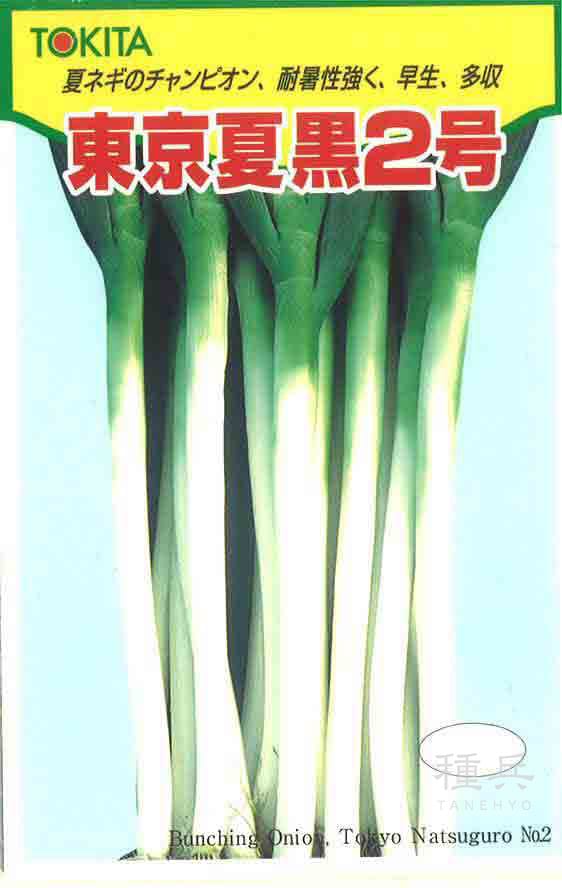 ネギ 種 『東京夏黒2号』  トキタ種苗