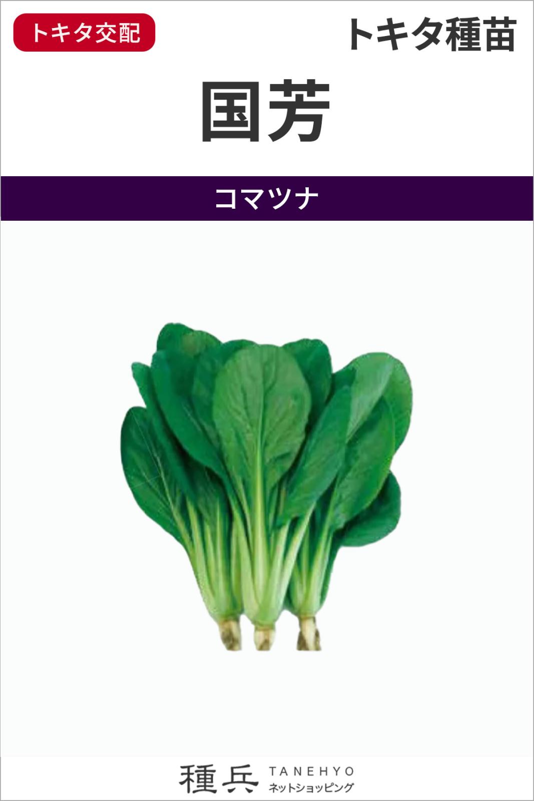 コマツナ 種 『国芳』  トキタ種苗