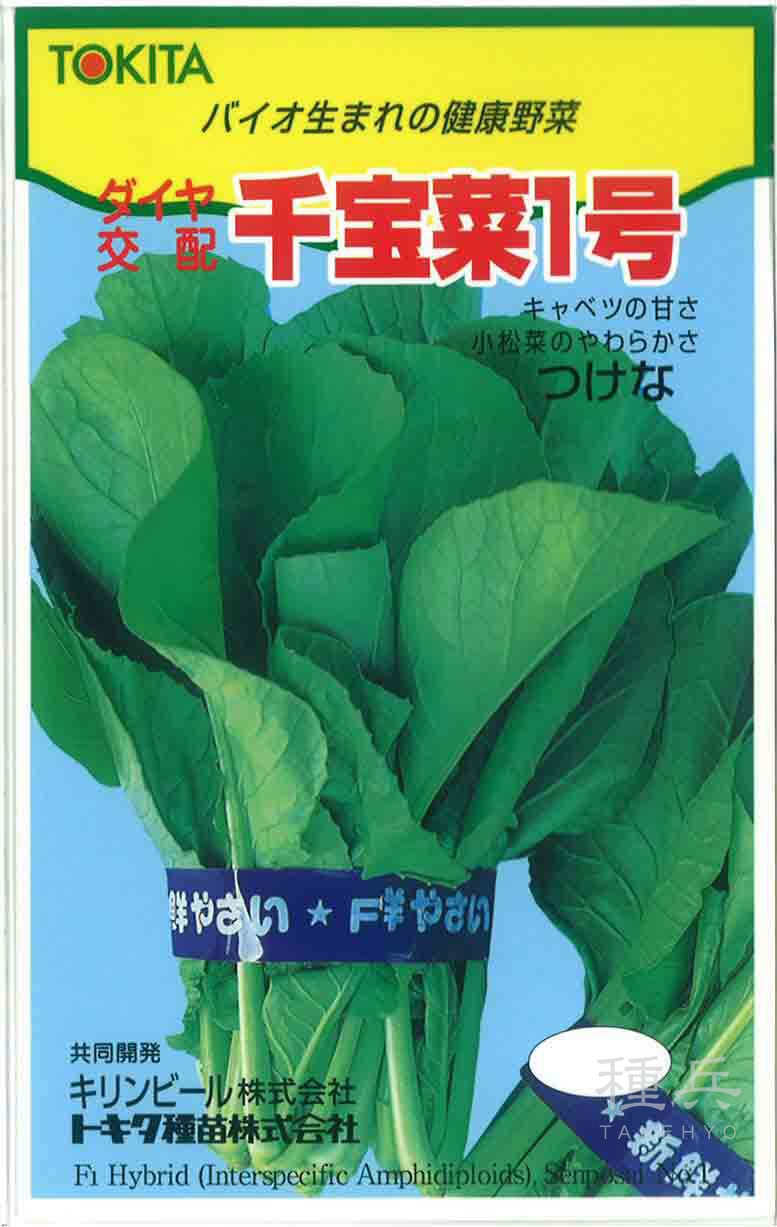 ツケナ 種 『千宝菜1号』  トキタ種苗