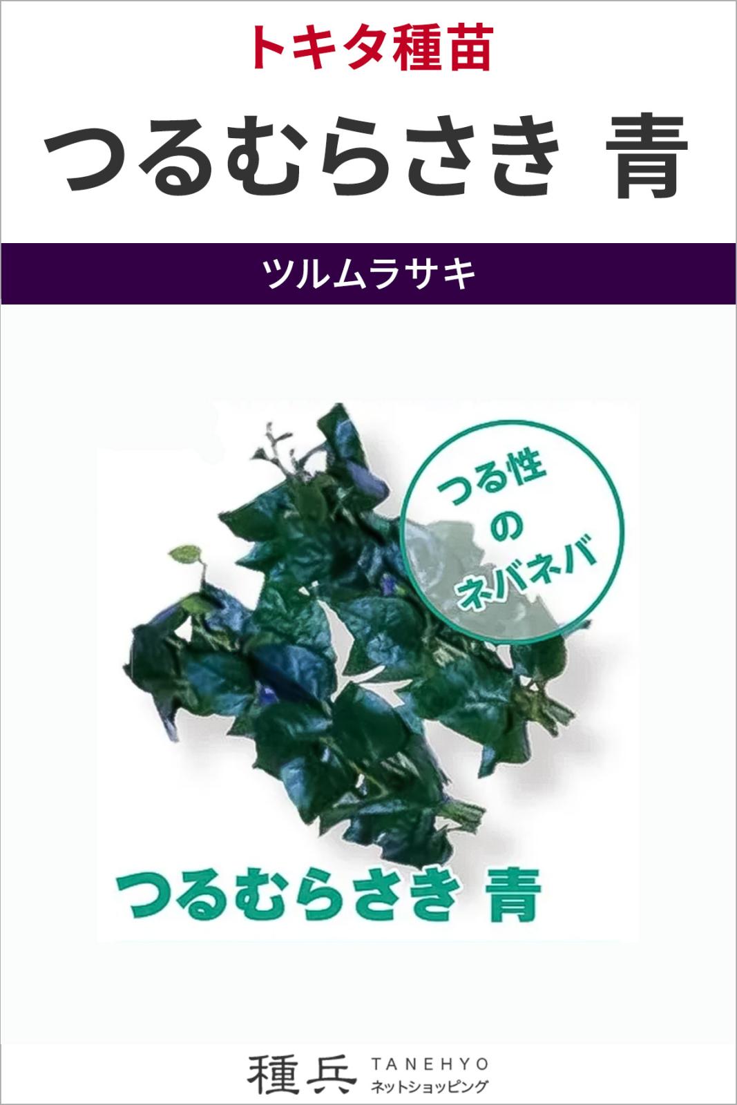 つるむらさき 種 『つるむらさき 青』 トキタ種苗 | たね,葉菜の種