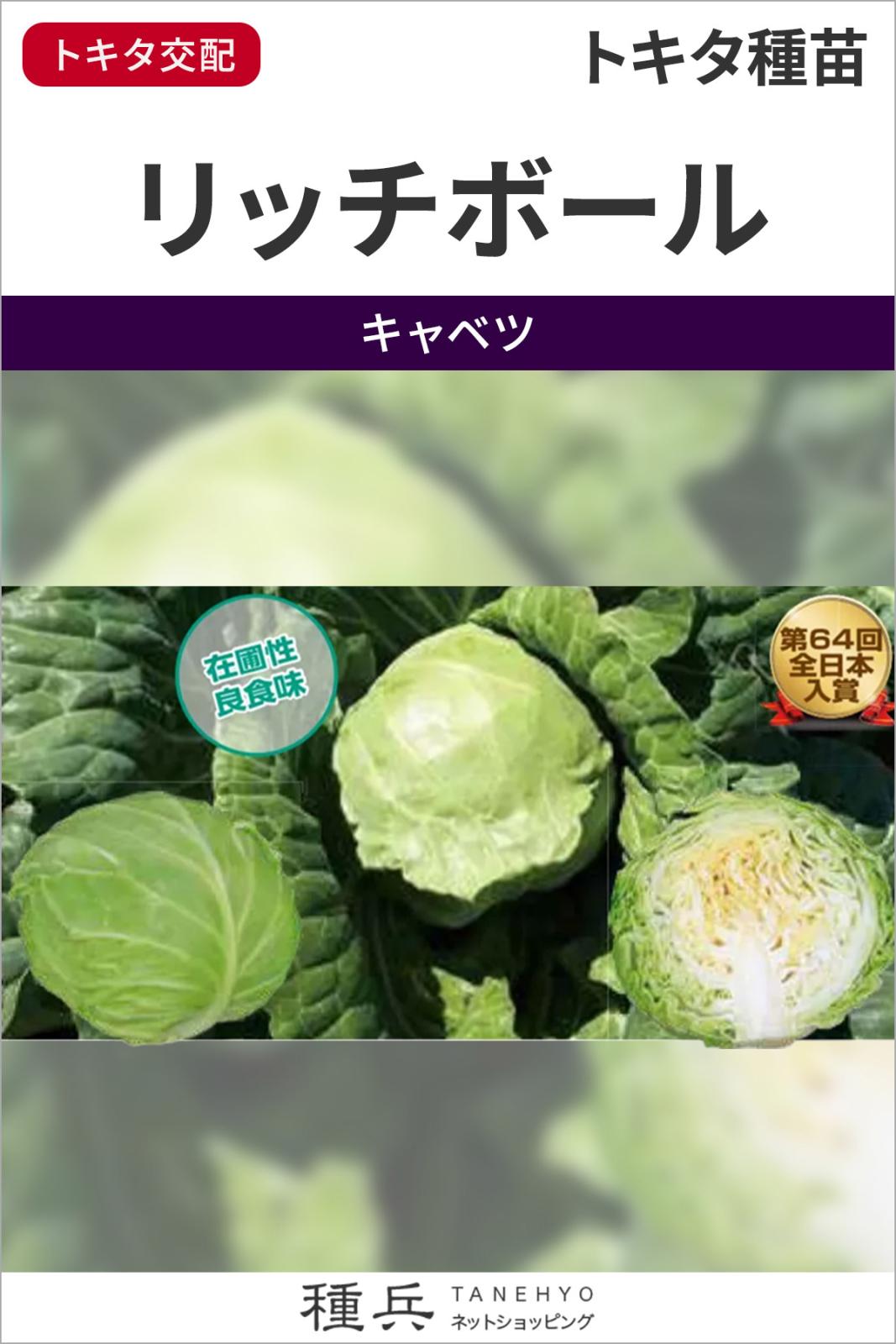 キャベツ 種 『リッチボール（TSX-206）』 トキタ種苗 | たね,葉菜の種