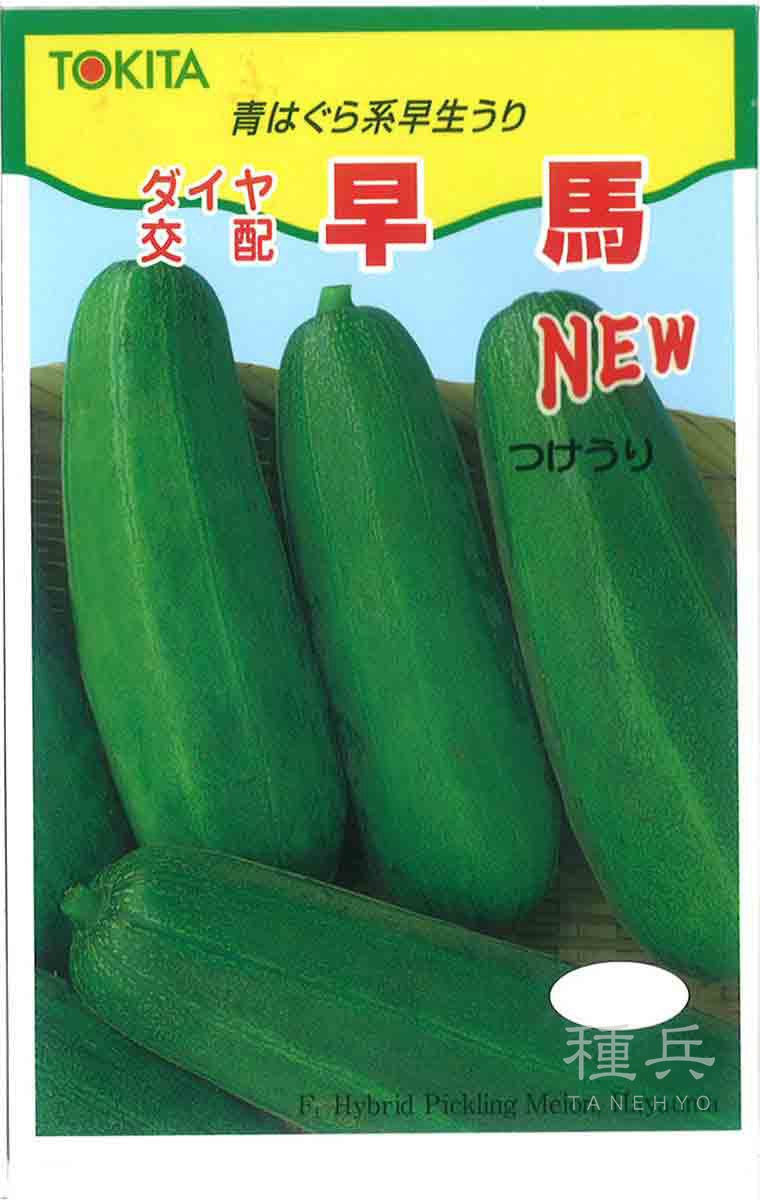 ツケウリ 種 『NEW早馬』  トキタ種苗