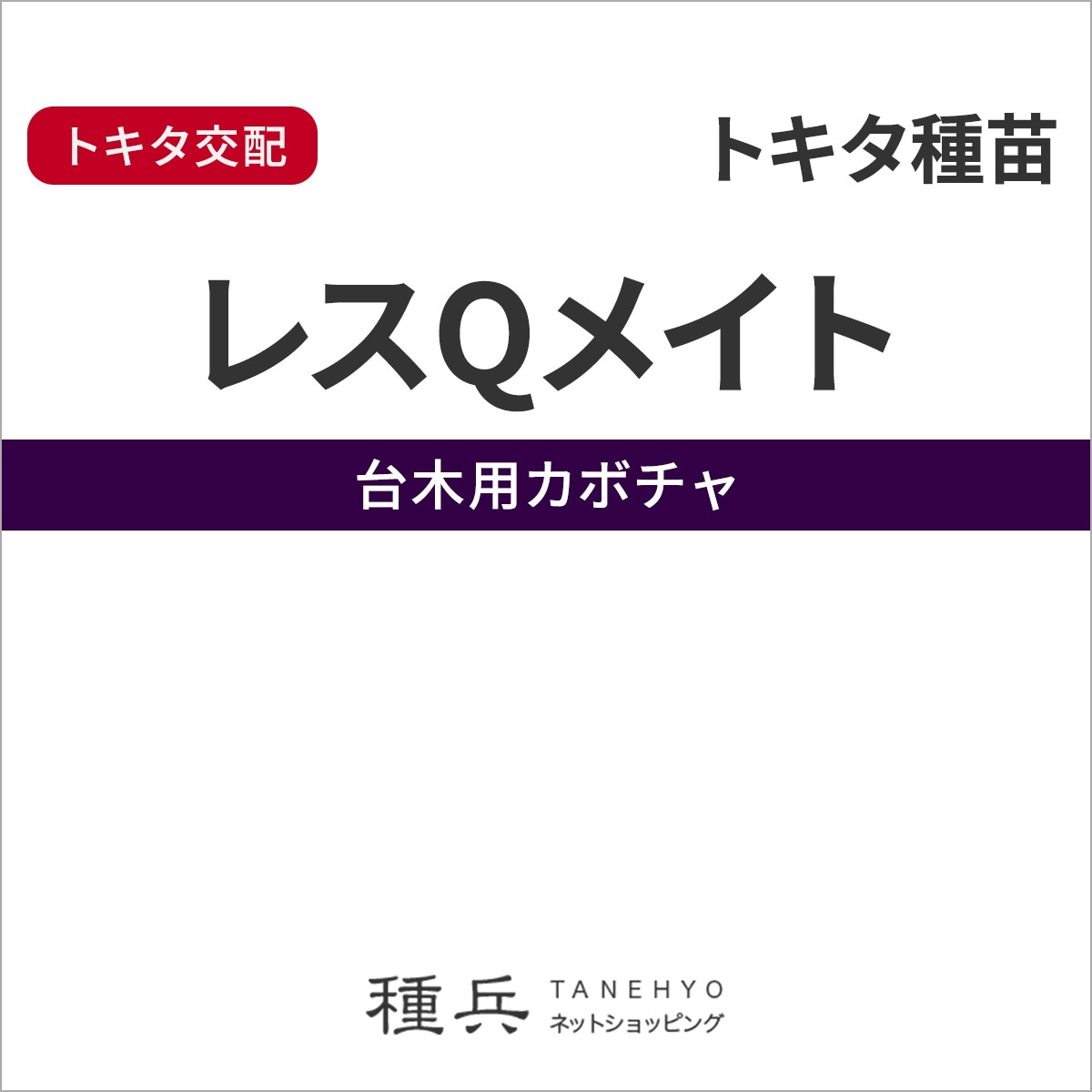 台木カボチャ 種 『レスQメイト』  トキタ種苗