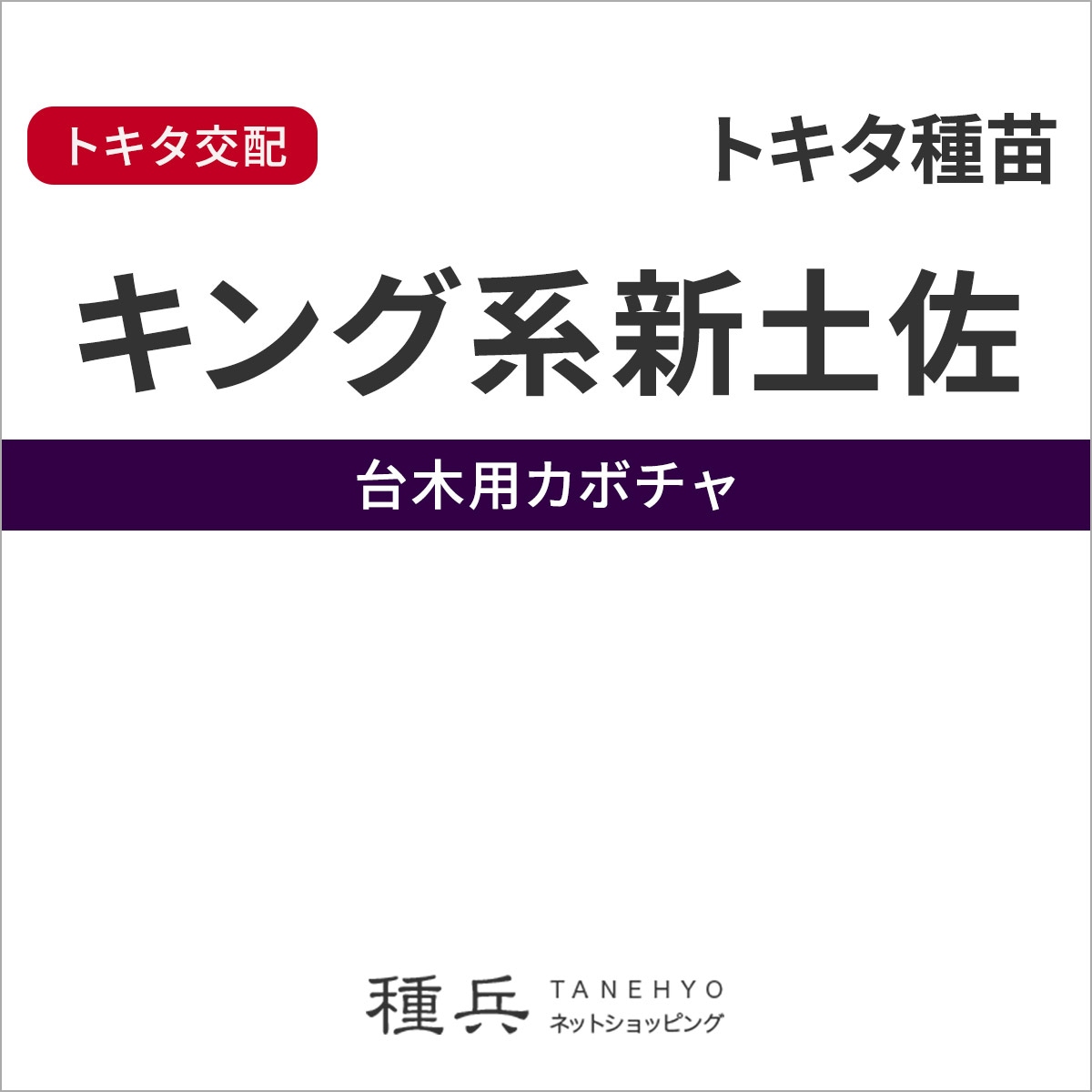 台木カボチャ 種 『キング系新土佐』  トキタ種苗