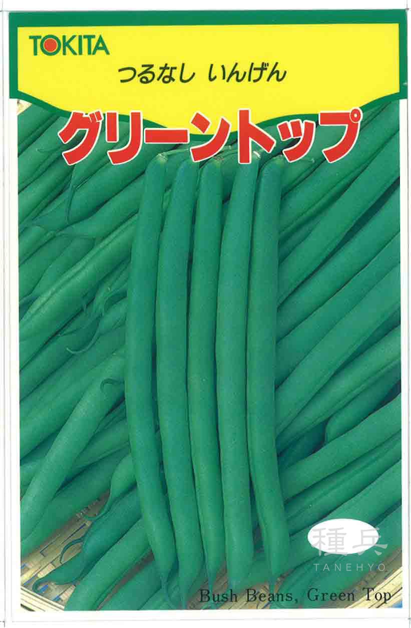 つるなしインゲン 種 『グリーントップ』  トキタ種苗