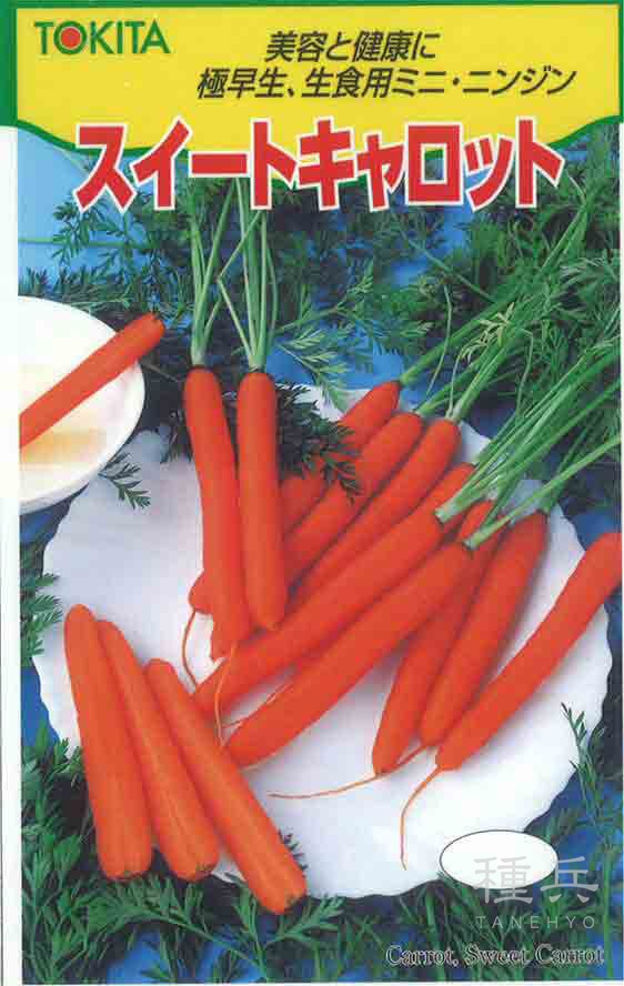 ミニニンジン 種 『スイートキャロット』  トキタ種苗