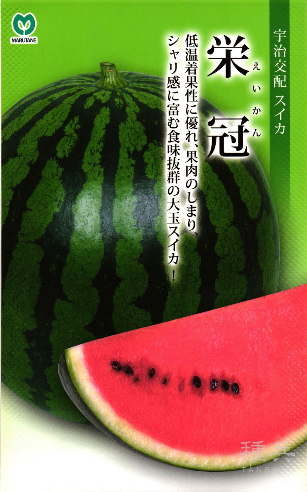 大玉スイカ 種 『栄冠（えいかん）』  丸種