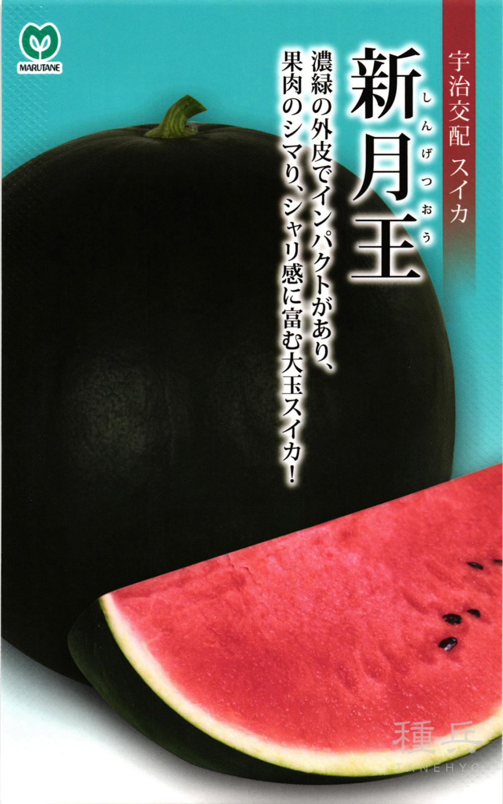 大玉スイカ 種 『新月王(しんげつおう)』  丸種