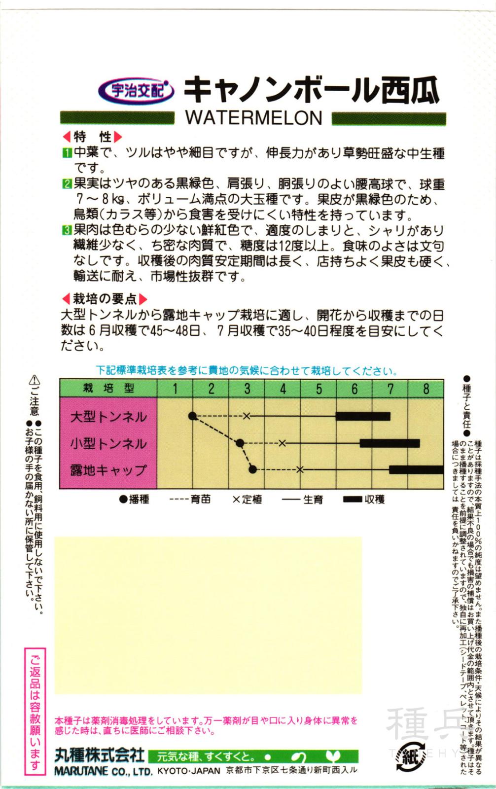 黒皮赤肉大玉スイカ 種 『キャノンボール』 丸種 | たね,果菜の種