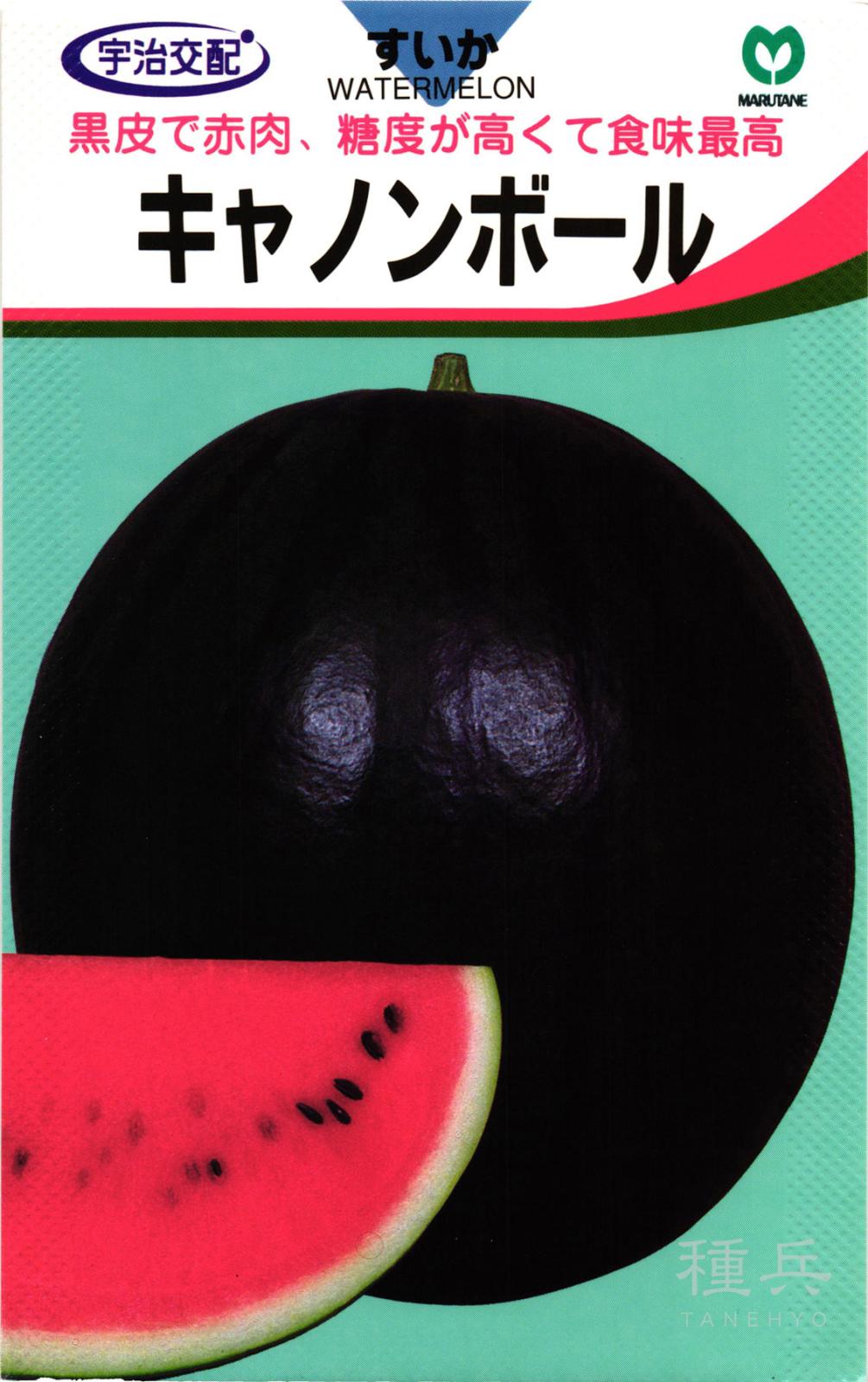 黒皮赤肉大玉スイカ 種 『キャノンボール』  丸種