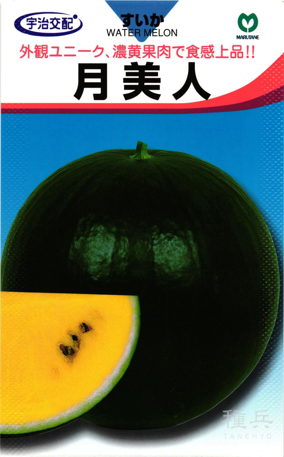 黄肉大玉スイカ 種 『月美人（つきびじん）』  丸種