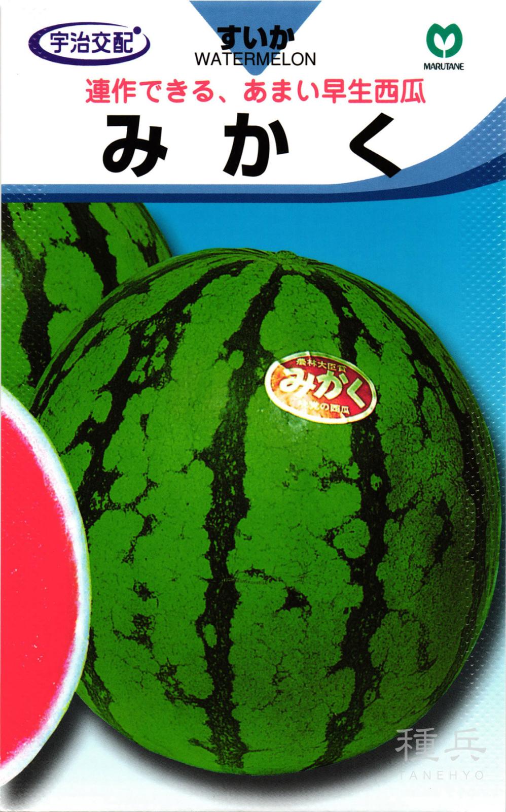 大玉スイカ 種 『みかく』  丸種
