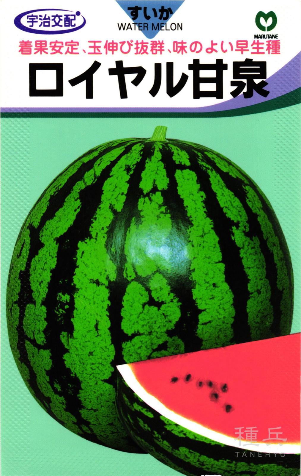 大玉スイカ 種 『ロイヤル甘泉』  丸種
