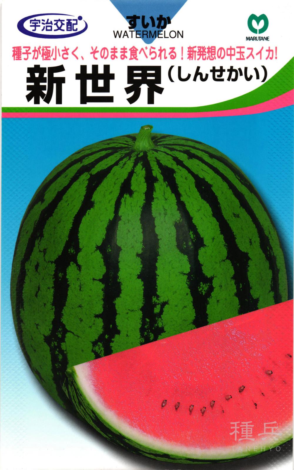 中玉スイカ 種 『新世界（しんせかい）』  丸種