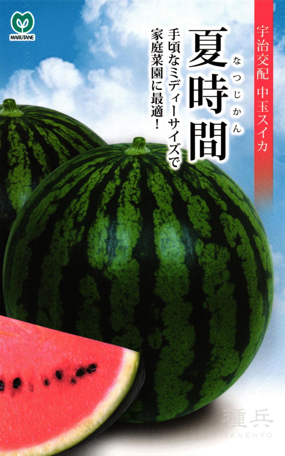 中玉スイカ 種 『夏時間（なつじかん）』  丸種