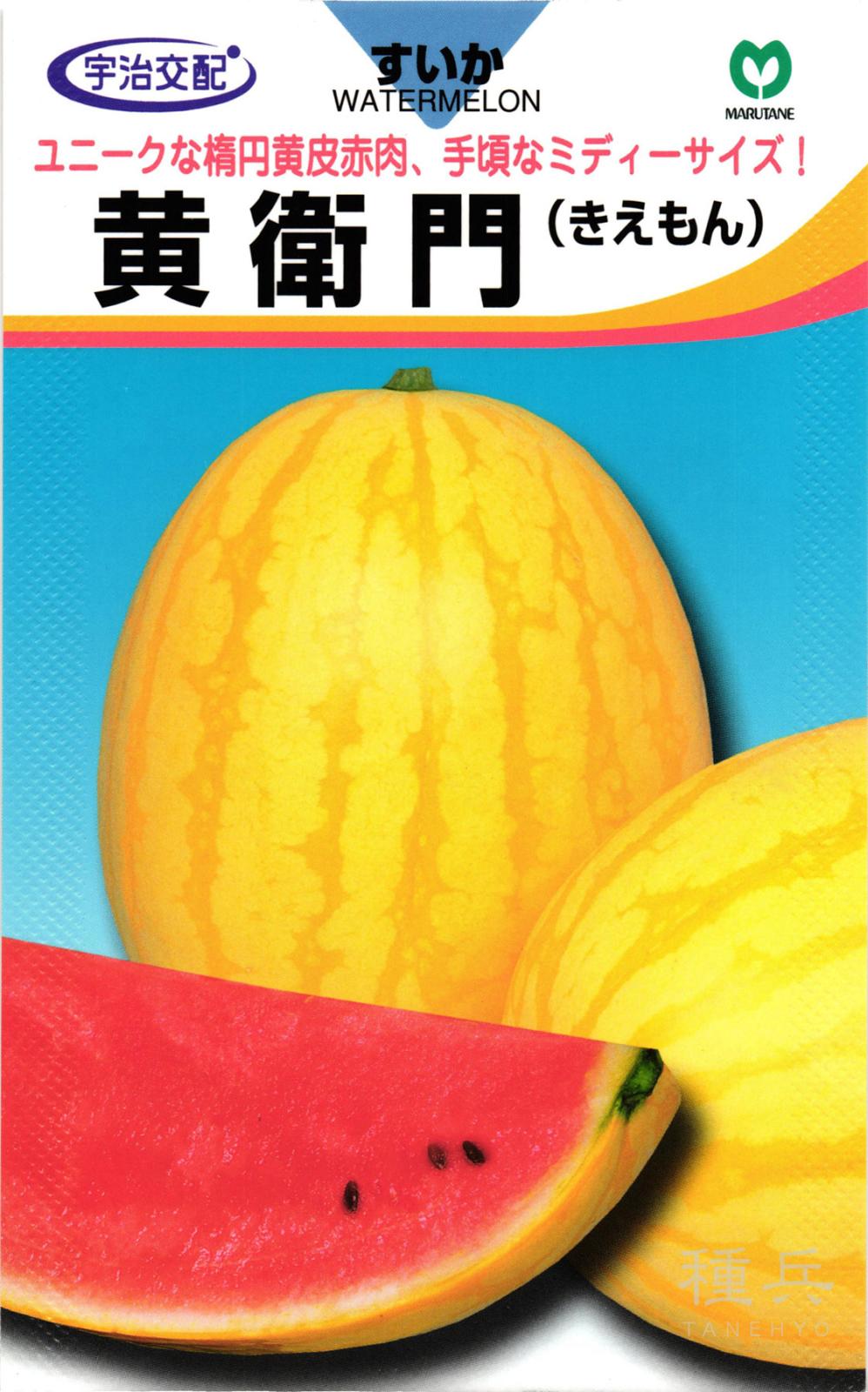 中玉スイカ 種 『黄衛門』  丸種