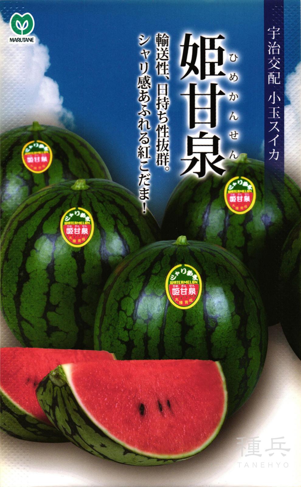 小玉スイカ 種 『姫甘泉　（ひめかんせん）』  丸種