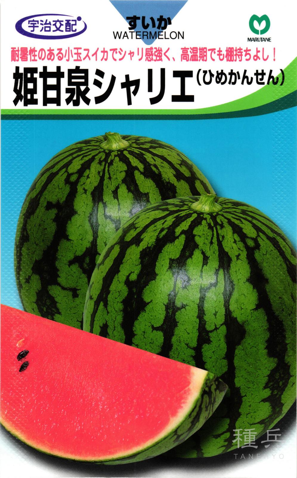 小玉スイカ 種 『姫甘泉シャリエ』  丸種